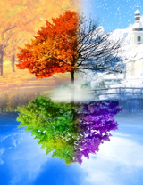 Без бренда «2KLB-6100» во Владикавказе 