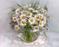 Без бренда «2KMA-0021» во Владикавказе 