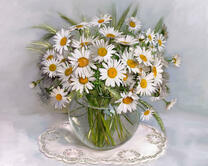 Без бренда «2KMA-0021» во Владикавказе 