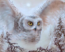 Без бренда «2KMB-3848» во Владикавказе 