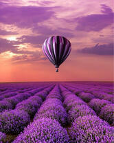 Без бренда «2KMB-4091» во Владикавказе 