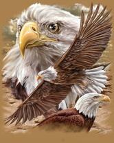 Без бренда «2KMB-4315» во Владикавказе 