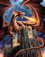 Без бренда «Дракон огня и молний» во Владикавказе 