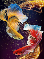 Без бренда «Желтая и красная рыбки» во Владикавказе 