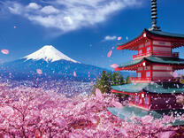 Без бренда «2KSB-7277» во Владикавказе 