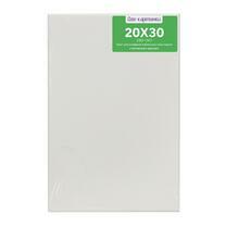 Без бренда «Коробка 80 шт.: Холст Две картинки на подрамнике 20X30» во Владикавказе 