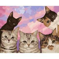 Без бренда «Такие разные котики» во Владикавказе  в интернет-магазине  Без бренда «Такие разные котики» во Владикавказе