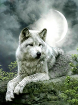 Без бренда «Коробка 25 шт. картин по номерам BOX25-GX21058» во Владикавказе 