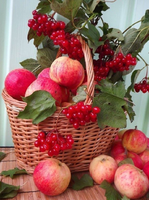 Без бренда «Коробка 25 шт. картин по номерам BOX25-GX5174» во Владикавказе 