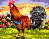 Петух на заре