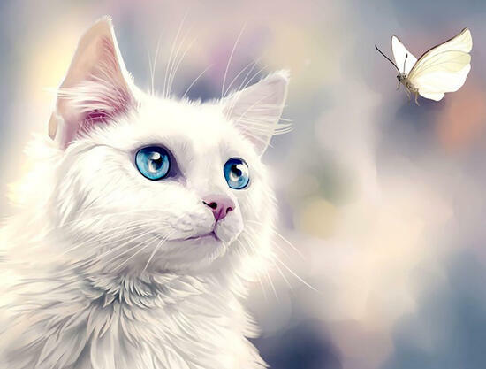 Картина по номерам 40x50 Белая кошечка с голубыми глазами и бабочка
