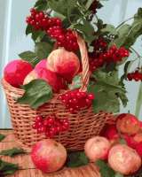 Без бренда «Плетёная корзина с калиной и яблоками» во Владикавказе 