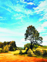 Без бренда «Осенний пейзаж с голубым небом» во Владикавказе  в интернет-магазине  Без бренда «Осенний пейзаж с голубым небом» во Владикавказе