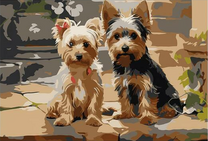 Два щеночка Йорка