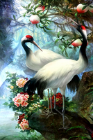 Без бренда «Коробка 25 шт. картин по номерам BOX25-GX29399» во Владикавказе в интернет-магазине Без бренда «Коробка 25 шт. картин по номерам BOX25-GX29399» во Владикавказе