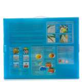 Картина по номерам 40x50 Q5182 Обнаженная девушка и череп за 1050 руб. в интернет-магазине Картина по номерам 40x50 Обнаженная девушка и череп