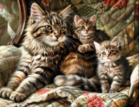 Без бренда «Серая кошечка и ее котята» во Владикавказе 